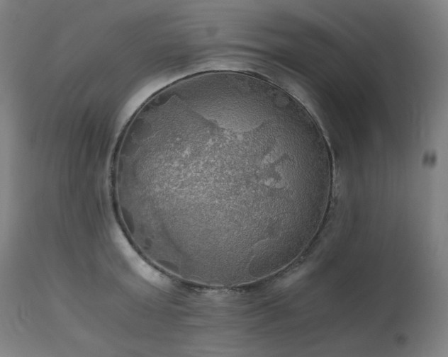 X0000111030803200906251303
