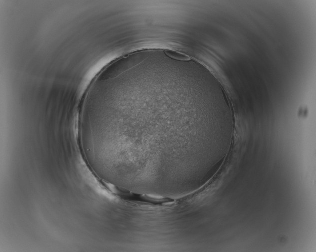 X0000111030804200906251303