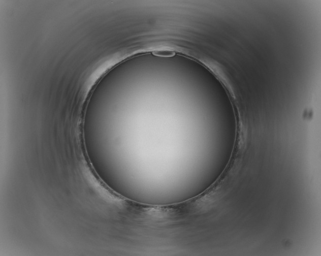 X0000111030805200906251303
