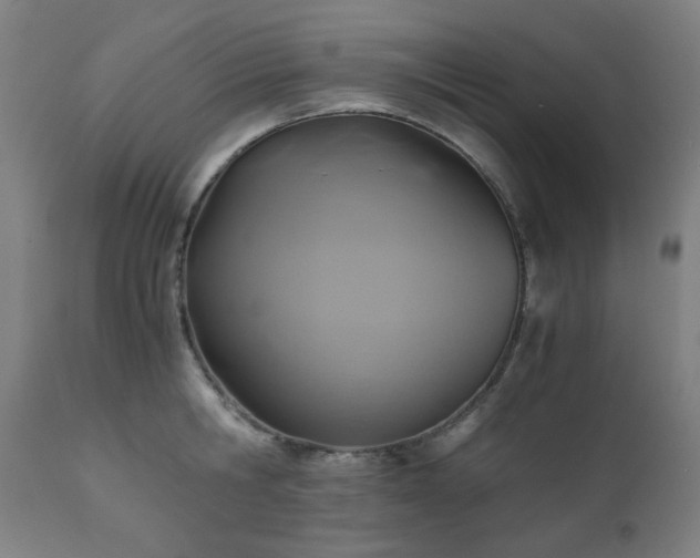 X0000111030806200906251303