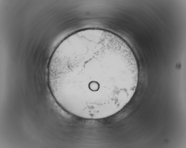 X0000111030807200906251303