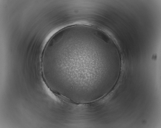 X0000111030808200906251303