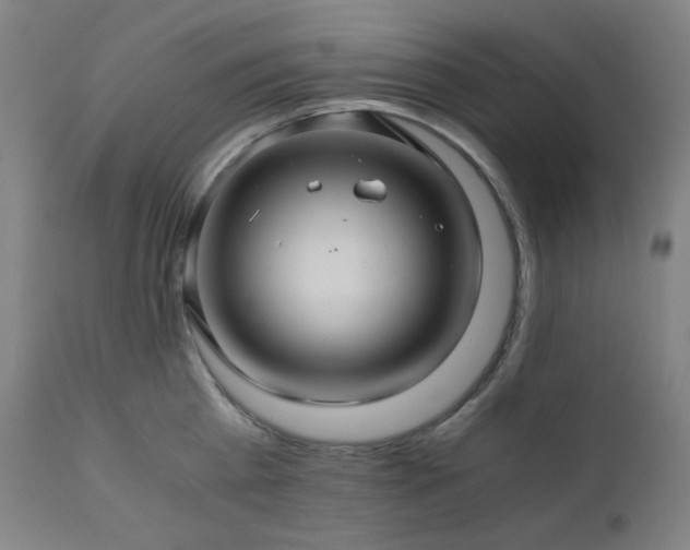 X0000111030809200906251303
