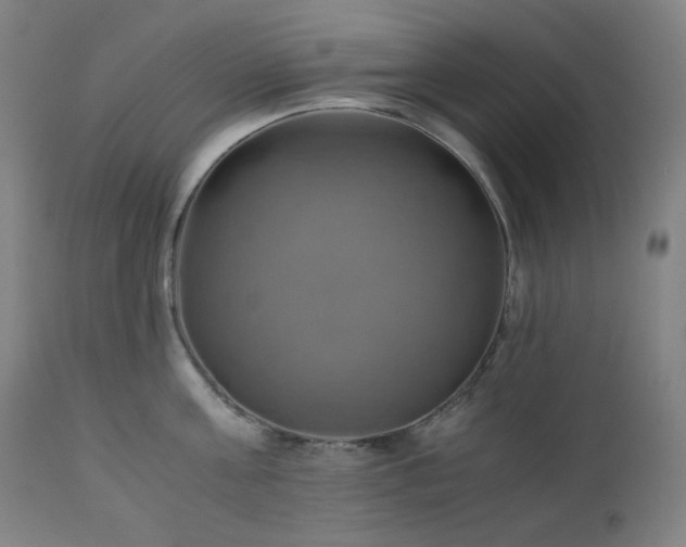 X0000111030811200906251303