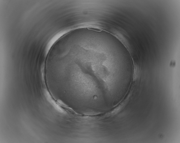 X0000111030812200906251303