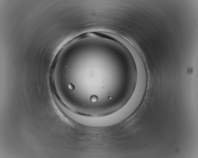 X0000111030813200906251303