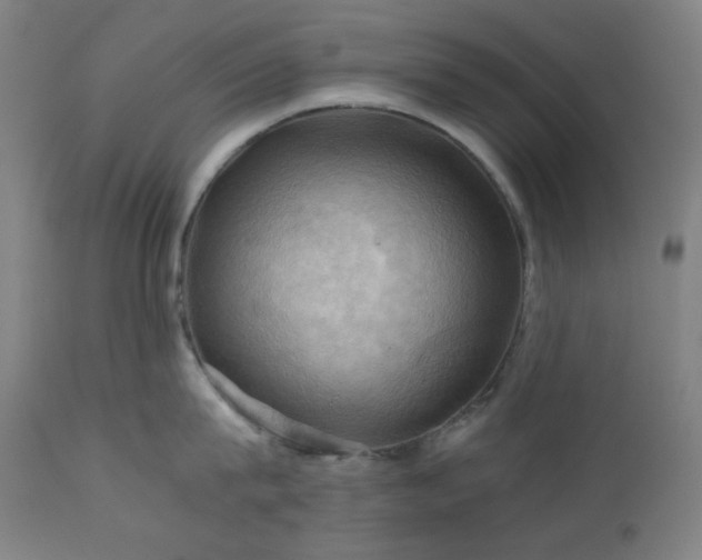 X0000111030815200906251303
