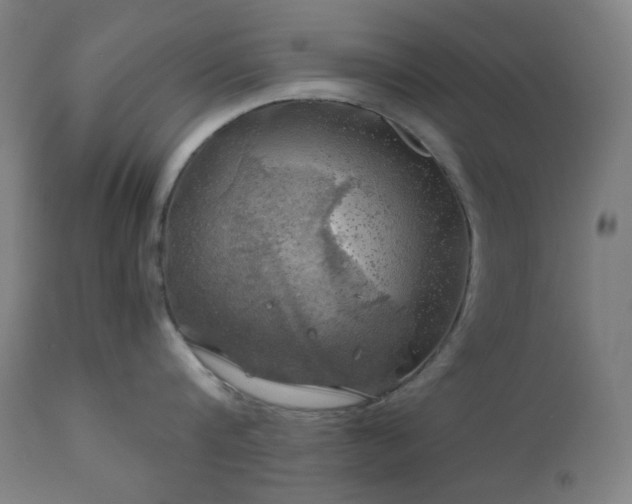 X0000111030816200906251303