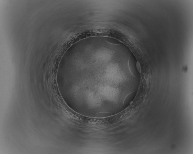 X0000111030817200906251302