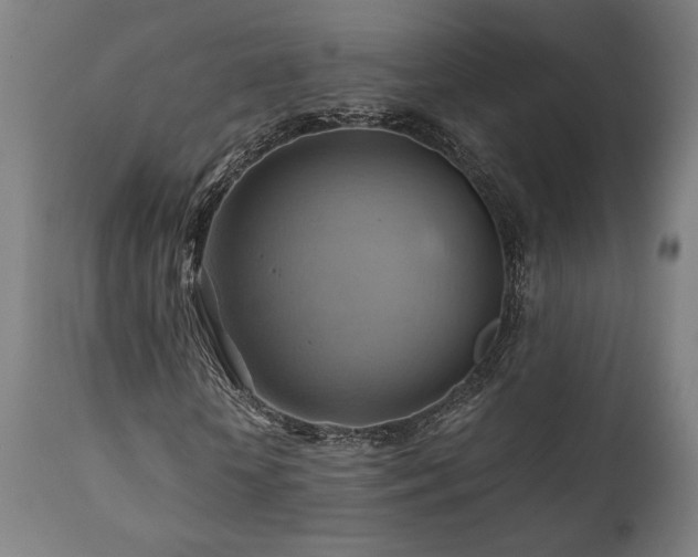 X0000111030818200906251303