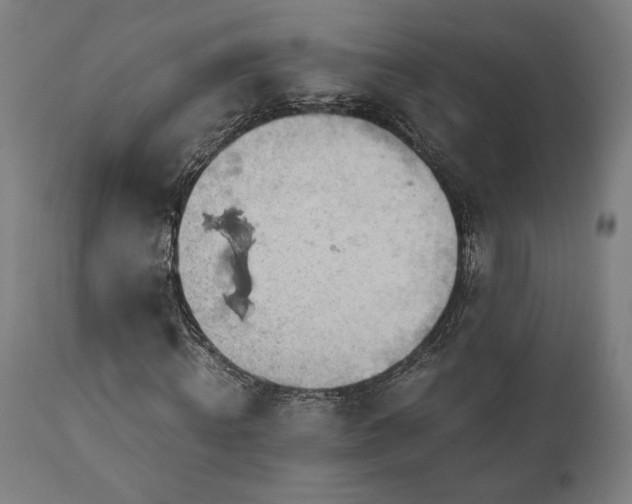 X0000111030820200906251303