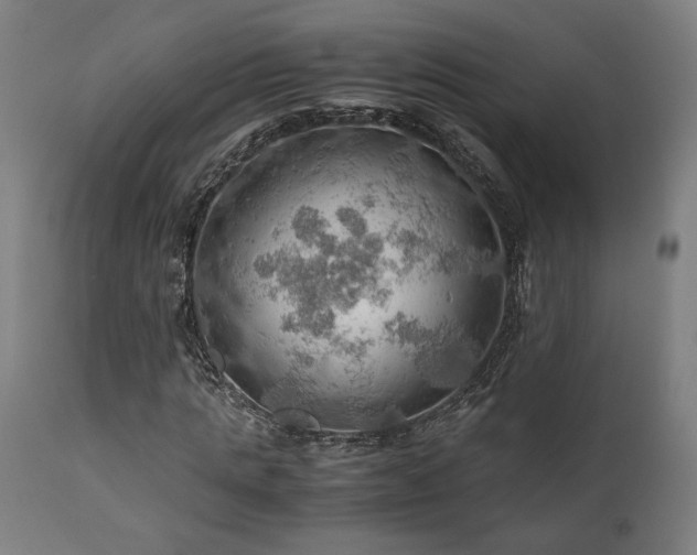 X0000111030821200906251303