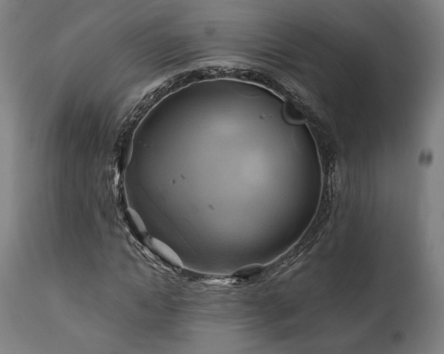 X0000111030822200906251303