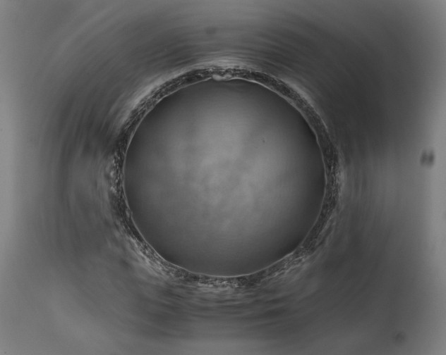 X0000111030823200906251303