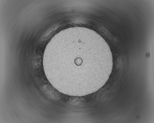 X0000111030824200906251303