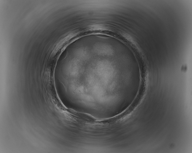 X0000111030825200906251303