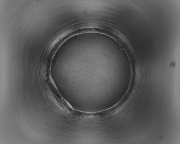 X0000111030826200906251303