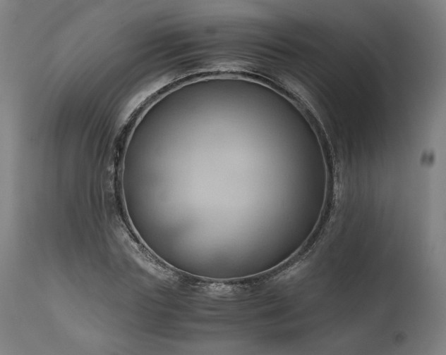 X0000111030827200906251303