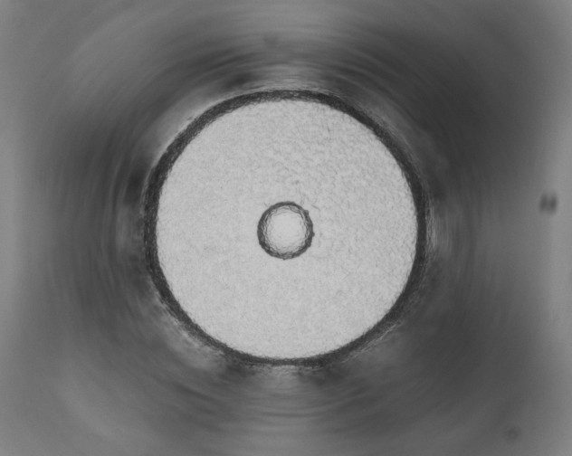 X0000111030828200906251303