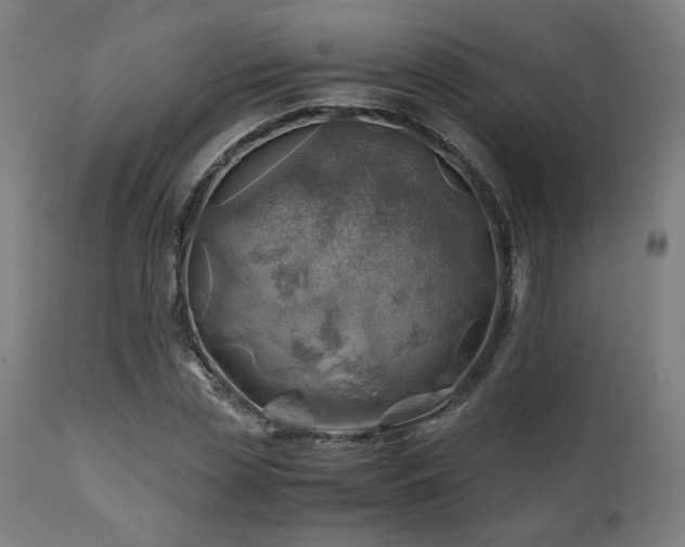 X0000111030829200906251303