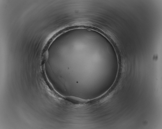 X0000111030830200906251303