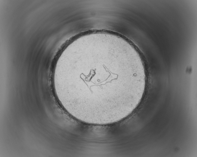 X0000111030832200906251303