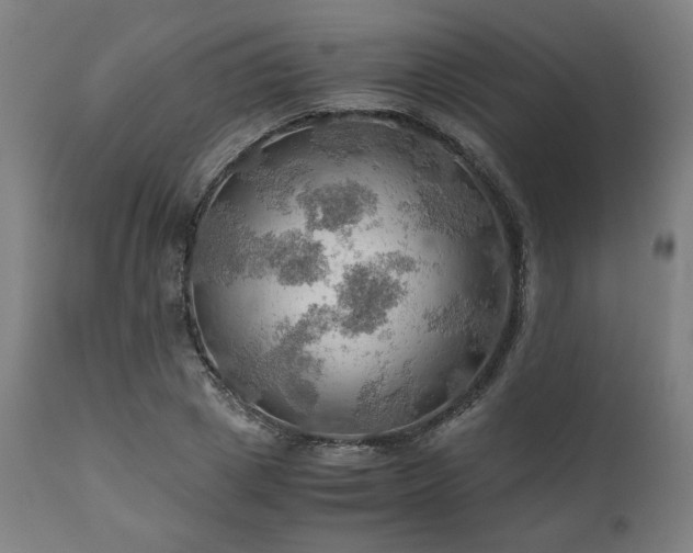 X0000111030833200906251303