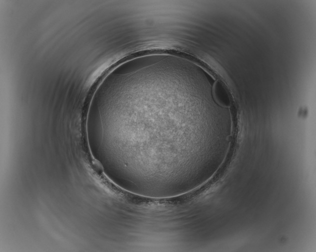 X0000111030834200906251303