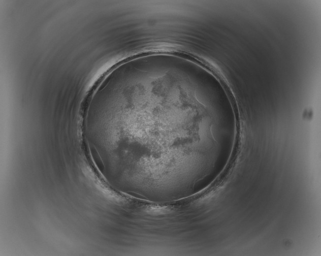 X0000111030835200906251303