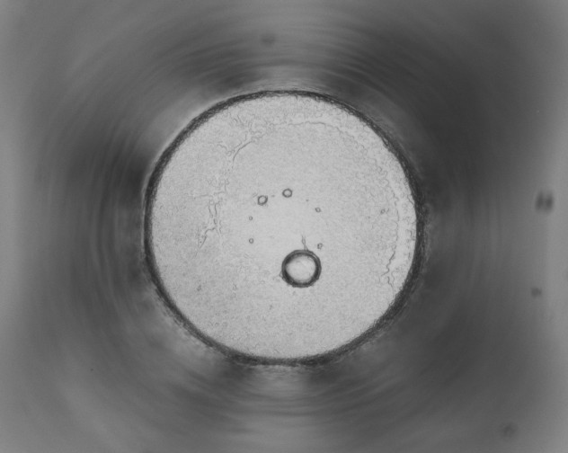 X0000111030836200906251303