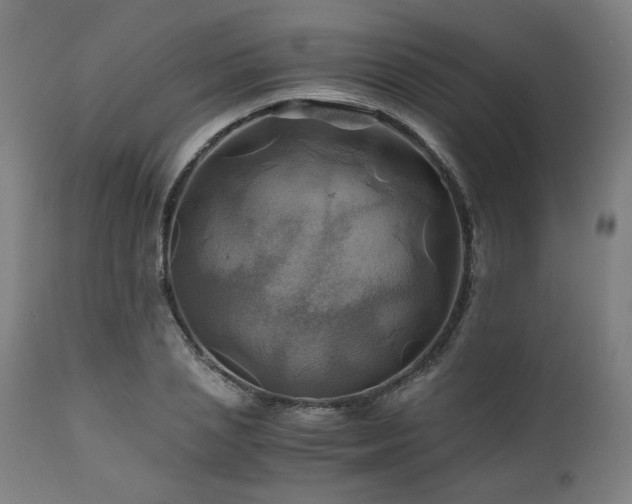 X0000111030837200906251303