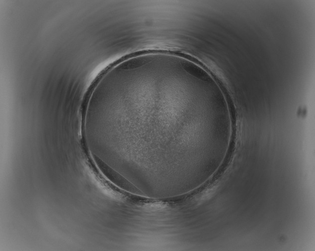 X0000111030838200906251303