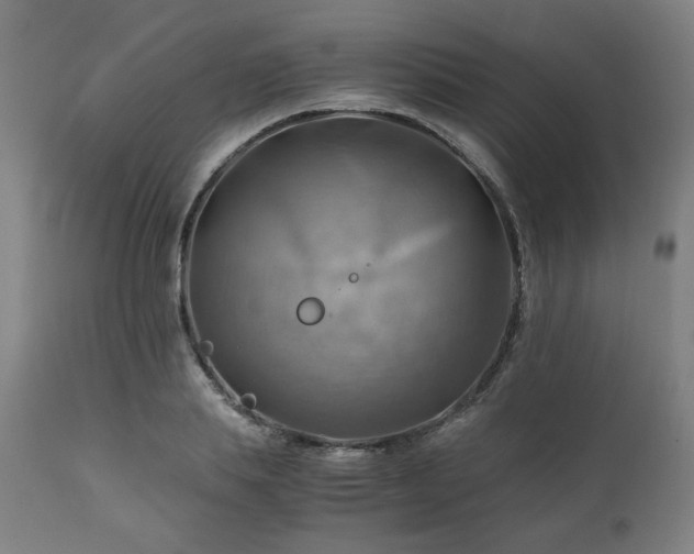 X0000111030839200906251303