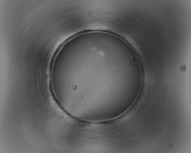 X0000111030840200906251303