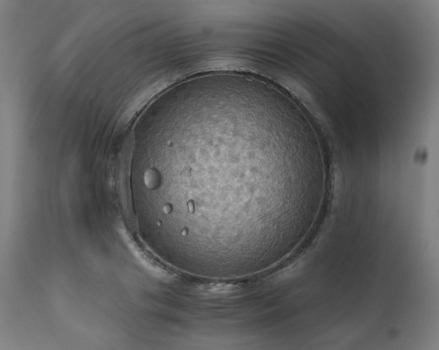X0000111030841200906251303