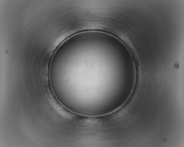 X0000111030842200906251303