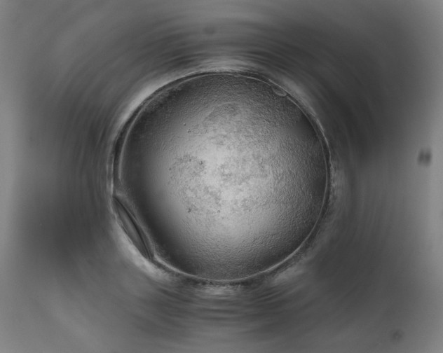 X0000111030843200906251303