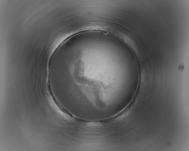 X0000111030844200906251303