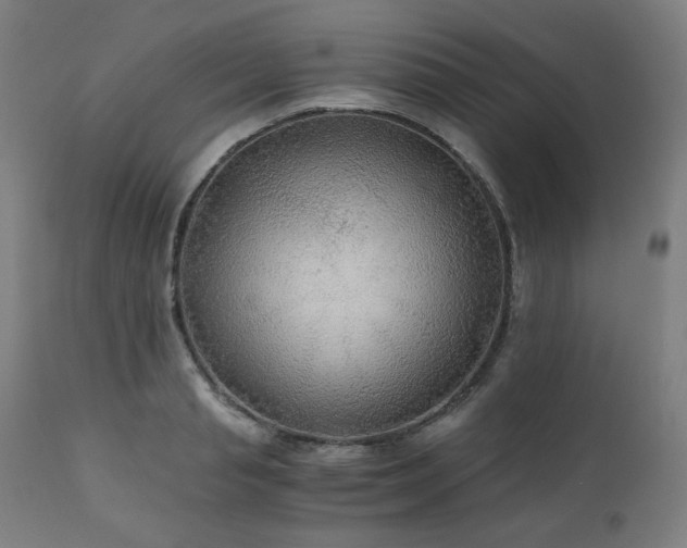 X0000111030845200906251303