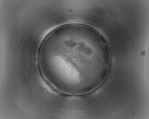 X0000111030846200906251303
