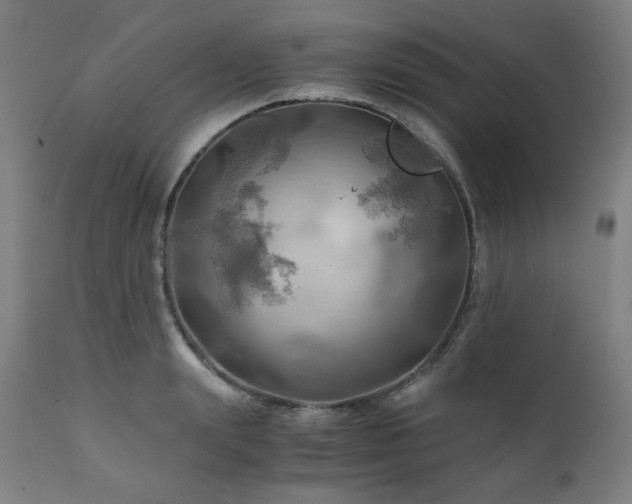 X0000111030847200906251303