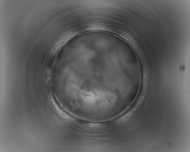 X0000111030849200906251303