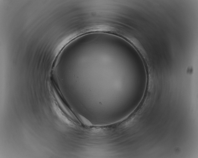 X0000111030850200906251303