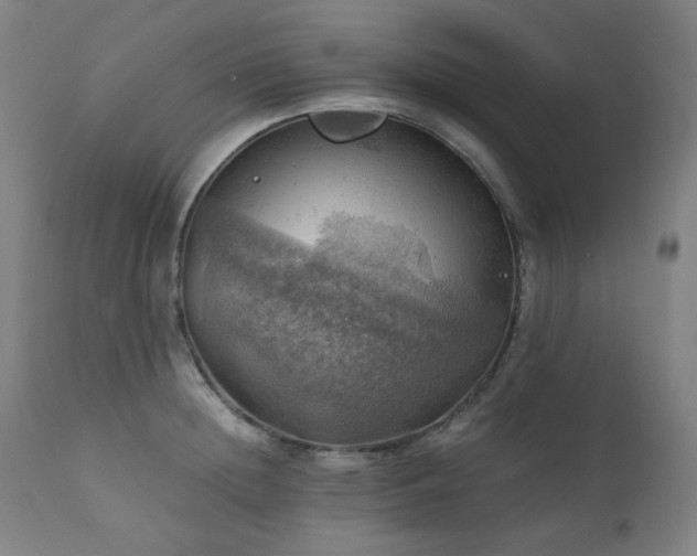 X0000111030852200906251303