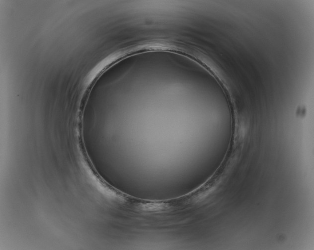 X0000111030853200906251303