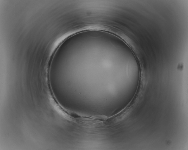 X0000111030854200906251303