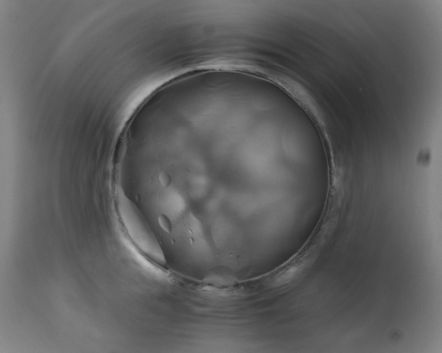 X0000111030855200906251303