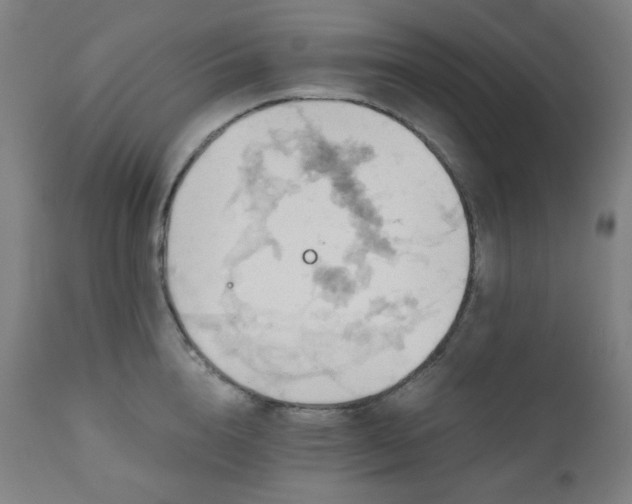 X0000111030856200906251303