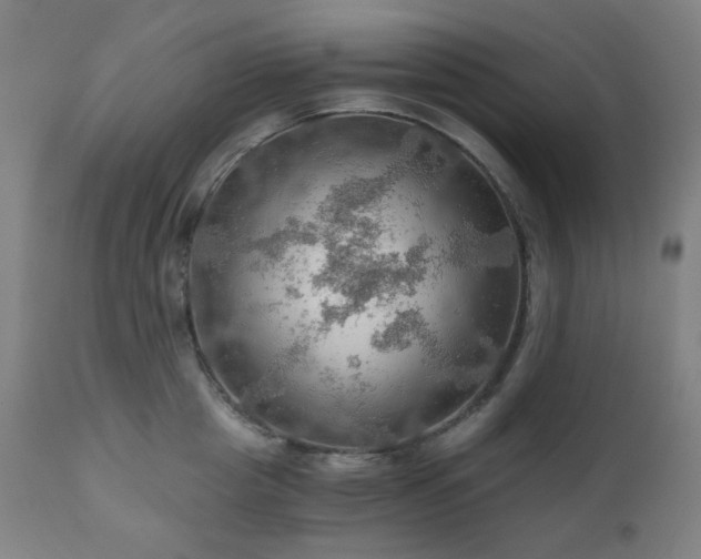 X0000111030857200906251303