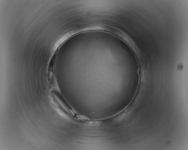 X0000111030858200906251303